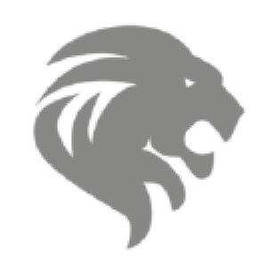 LION E-Mobility AG